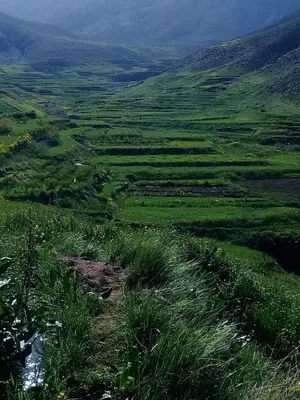 an aerial view of a green field with grass at Dar Ayoub in Inlghdene