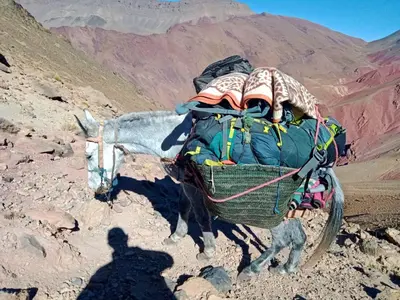 a donkey pulling a cart on the side of a mountain at Dar Ayoub in Inlghdene