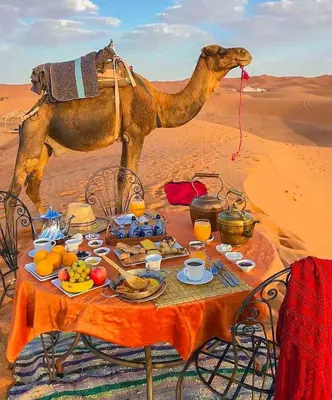 a table with food and a camel in the desert at Tenere desert luxury camp in Merzouga