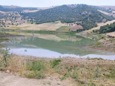 a river in the middle of a field at Gite touristique bouknala in Abinane