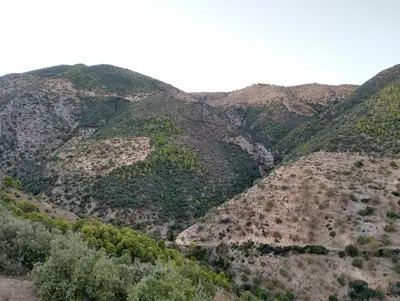 auliculiculiculiculiculiculiculiculiculiculiculiculiculiculic at Gite touristique bouknala in Abinane