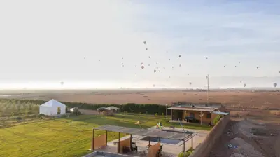 a group of birds flying in the sky over a field at Getaway between nature and adventure in Marrakech