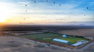 a group of kites flying in the sky over a field at Getaway between nature and adventure in Marrakech
