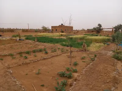 a field with a dirt road and a building at Dar Mustapha&Linda GmbH desert-inspiration in Ksebt Ibourri