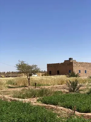 an old building in the middle of a field at Dar Mustapha&Linda GmbH desert-inspiration in Ksebt Ibourri