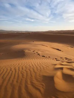 a desert with footprints in the sand at Amrad luxury camp in Merzouga