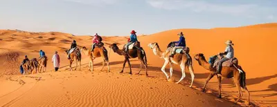 a group of people riding camels in the desert at Desert Tigmi Camp in Merzouga