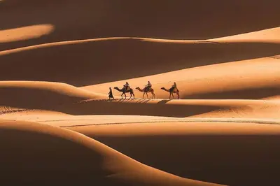 a group of people riding camels in the desert at Soul Dunes Luxury Camp in Merzouga