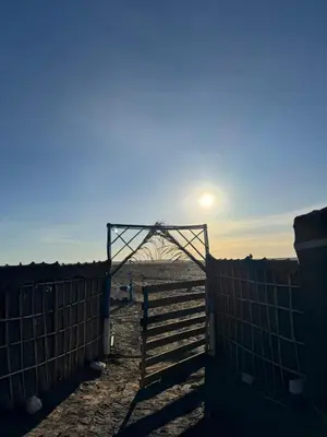a gate with the sun setting behind a fence at Merzouga your Tour Nigths in Camp in Merzouga