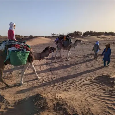 a group of people riding camels in the desert at Sahara Escape tours in Mhamid