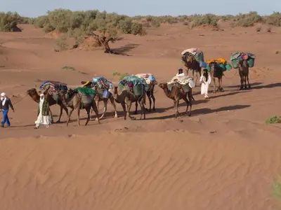 a group of people riding camels in the desert at Sahara Escape tours in Mhamid