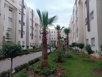 a row of palm trees in front of a building at Appartement neuf équipé à Fez in Fès