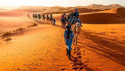 a group of people riding horses in the desert at Hami desert camping in Merzouga
