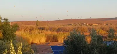 a group of birds flying in the sky over a field at Villa Michel Lucas in Marrakech
