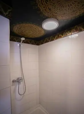 a bathroom with a shower with a ceiling at Dar Fez Mayssae in Fès