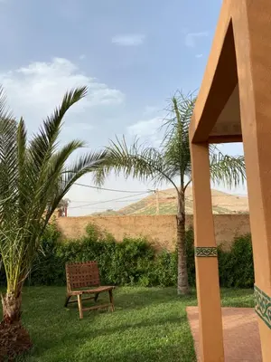 a bench sitting in the grass with palm trees at Dar Mazaheer in Ouanina