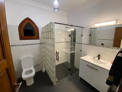 a bathroom with a shower and a toilet and a sink at Dar Mazaheer in Ouanina