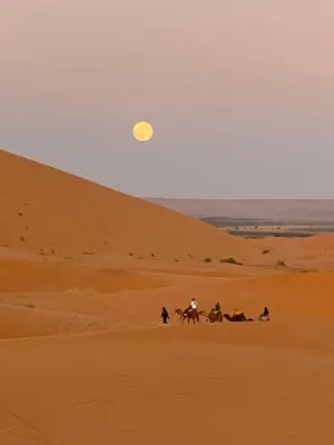 a group of people riding horses in the desert at Desert Rose Camp in Merzouga
