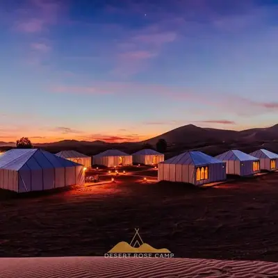 Desert Rose Camp
