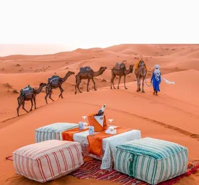 a group of camels walking in the desert at Riad Dar Menorca in Merzouga