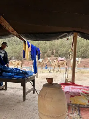 a man sitting on a bed next to a group of camels at Maison N 20 in Oulad Akkou