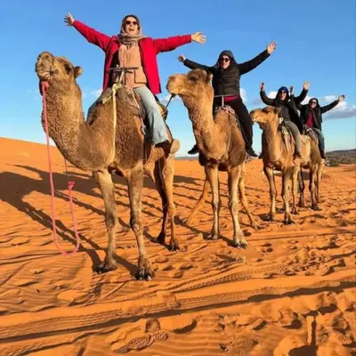 a group of people riding on camels in the desert at Merzougadreamcamp in Merzouga