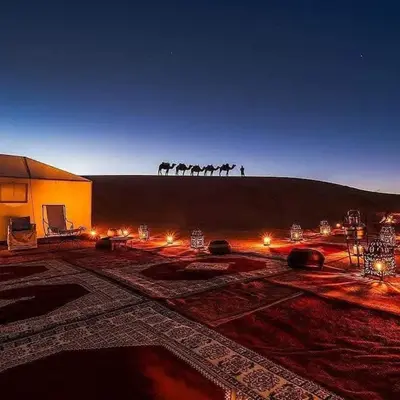 a group of horses standing on a hill at night at Merzougadreamcamp in Merzouga