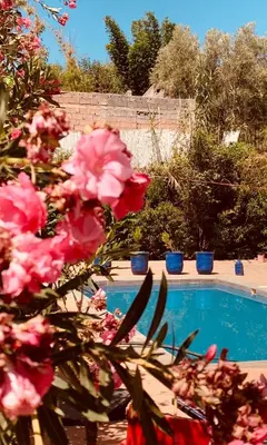 a bunch of pink flowers next to a swimming pool at Riad Belgika Marrakech in Ourika