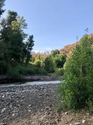 a river in the middle of a field with trees at Gîte flilou in Midelt
