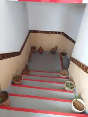 a set of stairs with potted plants on them at Ait Sedrate Tourism Cooperative Hotel in Boumalne