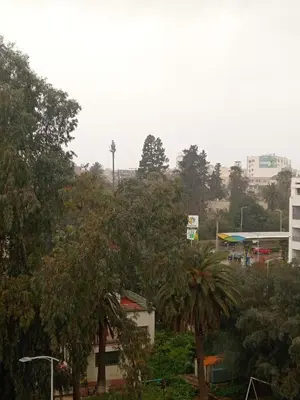 a group of trees and buildings in a city at appartement splendid au centre ville in Fès