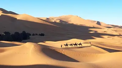 a group of people riding camels in the desert at Merzouga activités in Merzouga