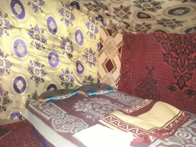 a bed with a cat laying on top of it at Merzouga activités in Merzouga