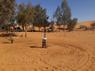 a object in the middle of a desert with trees at Merzouga activités in Merzouga