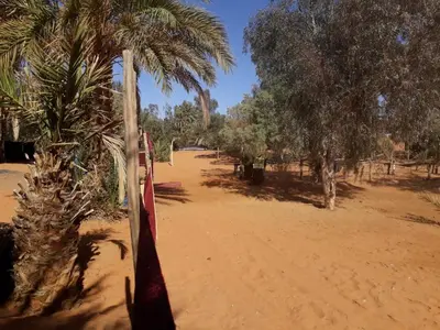 a dirt road with palm trees in a field at Merzouga activités in Merzouga