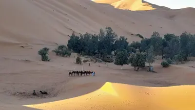 a group of people riding on a camel in the desert at Merzouga activités in Merzouga