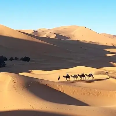 Merzouga activités