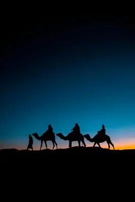 a group of people riding camels in the desert at Kalimba Luxury Desert Camp in Merzouga