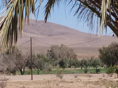 a mountain in the distance with a field and trees at Chez l'habitant Fatima in Arhbar
