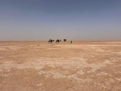 a group of people riding horses in the desert at Iriki Dreams in Bou Rbia