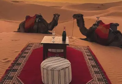 a table in the desert with two camels and a bottle of wine at Amidinine Desert Camp in Merzouga
