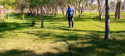 a man walking in a field with a dog at Hôtel flora in Beni Mellal