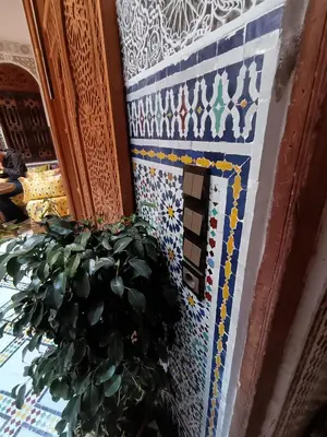 a potted plant on a blue and white tile wall at Riad Joseph in Fès