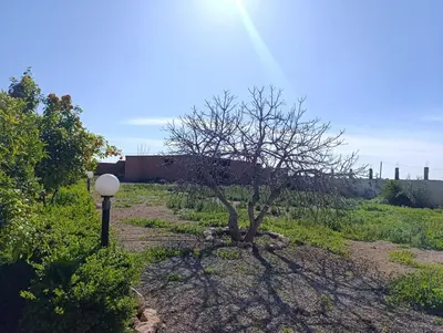 a tree in a field next to a street light at Villa montysco in Hal Sabek
