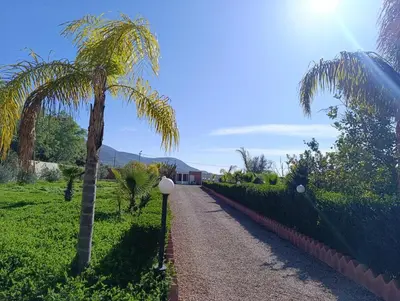 a gravel road with a palm tree next to a fence at Villa montysco in Hal Sabek