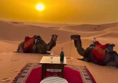 two camels and a table in the desert with a drink at Moroccan luxury camp in Merzouga