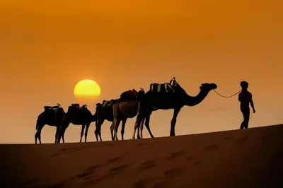 a man leading a group of camels in the desert at Iriki Desert Camp Foum Zguid in Foum Zguid