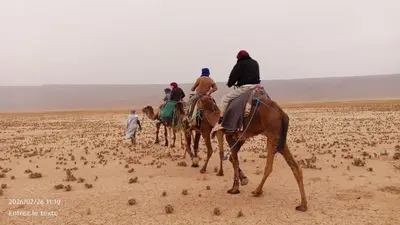 a group of people riding camels in the desert at Iriki Desert Camp Foum Zguid in Foum Zguid