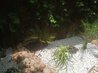 a garden with a bunch of rocks and plants at Maison au lac bin el ouidane in Tillouguit nʼAït Isha