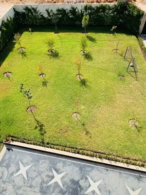 a model of a garden with stars on the grass at Al confort in Fès